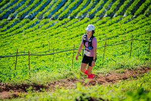 BIB: 
                            <button type="button" onclick="openModal(19161585)" class="btn btn-primary btn-sm float-right btn-popup" data-toggle="modal" data-target=".modal-high-quality">
                        <i class="fas fa-shopping-cart"></i> Add to Cart
                    </button>
                                            <button type="button" onclick="isThisMe(19161585, true)" class="btn btn-success btn-sm float-right btn-popup btn-isme hidden" data-toggle="tooltip" data-placement="bottom" title="นี่คือรูปของคุณใช่ไหม คลิกที่นี่เพื่อเอาเข้าอัลบั้ม">
                        <i class="fas fa-plus"></i> Add to album
                    </button>
                    <button type="button" onclick="isThisMe(19161585, false)" class="btn btn-warning btn-sm float-right btn-popup btn-isnotme hidden">
                        <i class="fas fa-ban"></i> Remove from album
                    </button>